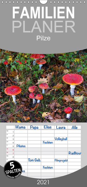 Pilze – Familienplaner hoch (Wandkalender 2021 , 21 cm x 45 cm, hoch) von / Bäsemann / Diehl / Helwig / Pum / Schulz,  McPHOTO