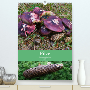 Pilze – Farbenpracht im Wald (Premium, hochwertiger DIN A2 Wandkalender 2021, Kunstdruck in Hochglanz) von Barden,  Almut