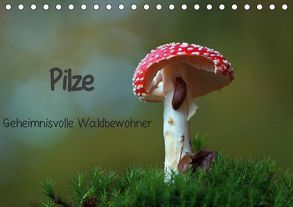 Pilze-Geheimnisvolle Waldbewohner (Tischkalender 2019 DIN A5 quer) von Klapp,  Lutz