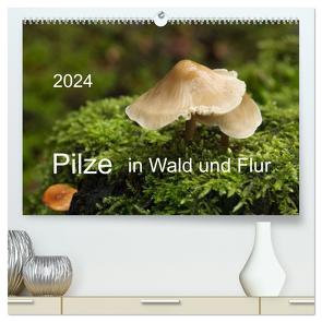 Pilze in Wald und Flur (hochwertiger Premium Wandkalender 2024 DIN A2 quer), Kunstdruck in Hochglanz von Pompsch,  Heinz