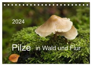 Pilze in Wald und Flur (Tischkalender 2024 DIN A5 quer), CALVENDO Monatskalender von Pompsch,  Heinz