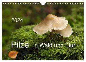 Pilze in Wald und Flur (Wandkalender 2024 DIN A4 quer), CALVENDO Monatskalender von Pompsch,  Heinz