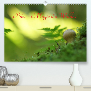 Pilze – Magie des Waldes (Premium, hochwertiger DIN A2 Wandkalender 2023, Kunstdruck in Hochglanz) von Klapp,  Lutz