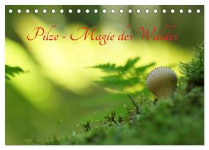 Pilze – Magie des Waldes (Tischkalender 2024 DIN A5 quer), CALVENDO Monatskalender von Klapp,  Lutz