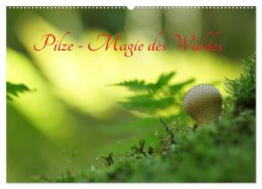 Pilze – Magie des Waldes (Wandkalender 2024 DIN A2 quer), CALVENDO Monatskalender von Klapp,  Lutz