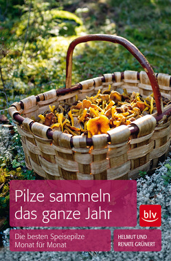 Pilze sammeln das ganze Jahr von Grünert,  Helmut, Grünert,  Renate