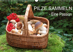 Pilze sammeln – eine Passion (Wandkalender 2020 DIN A3 quer) von Bindig,  Rudolf