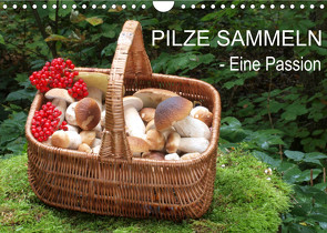 Pilze sammeln – eine Passion (Wandkalender 2022 DIN A4 quer) von Bindig,  Rudolf