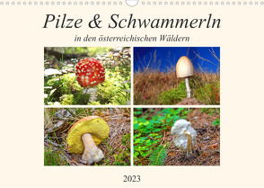 Pilze & Schwammerln (Wandkalender 2023 DIN A3 quer) von Kramer,  Christa