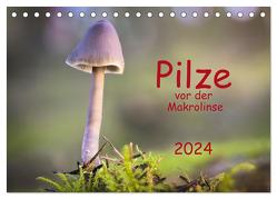 Pilze vor der Makrolinse 2024 (Tischkalender 2024 DIN A5 quer), CALVENDO Monatskalender von Pompsch,  Heinz