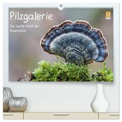 Pilzgalerie – Die bunte Welt der Baumpilze (hochwertiger Premium Wandkalender 2024 DIN A2 quer), Kunstdruck in Hochglanz von Wurster,  Beate