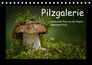 Pilzgalerie – Heimische Pilze aus der Region Rheinland-Pfalz (Tischkalender 2023 DIN A5 quer) von Wurster,  Beate