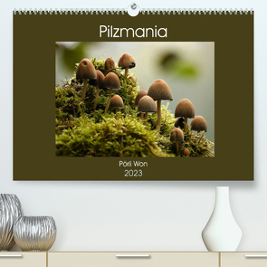 Pilzmania (Premium, hochwertiger DIN A2 Wandkalender 2023, Kunstdruck in Hochglanz) von Won,  Pörli