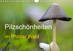 Pilzschönheiten im Pfälzer Wald (Wandkalender 2021 DIN A4 quer) von Fietz,  Günter