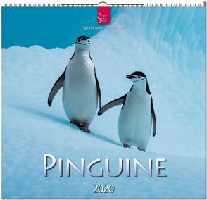 Pinguine von Chichester,  Page, Leue,  Holger