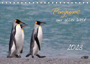 Pinguine aus aller Welt (Tischkalender 2023 DIN A5 quer) von Schlögl,  Brigitte