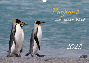 Pinguine aus aller Welt (Wandkalender 2023 DIN A3 quer) von Schlögl,  Brigitte