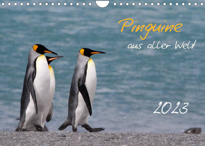 Pinguine aus aller Welt (Wandkalender 2023 DIN A4 quer) von Schlögl,  Brigitte