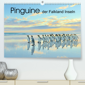 Pinguine der Falkland Inseln (Premium, hochwertiger DIN A2 Wandkalender 2022, Kunstdruck in Hochglanz) von Weiß,  Elmar