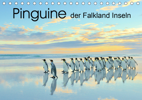 Pinguine der Falkland Inseln (Tischkalender 2021 DIN A5 quer) von Weiß,  Elmar