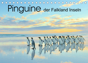 Pinguine der Falkland Inseln (Tischkalender 2022 DIN A5 quer) von Weiß,  Elmar