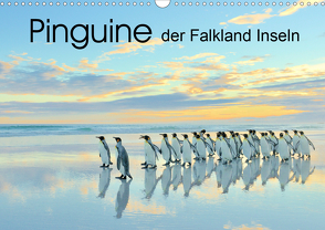 Pinguine der Falkland Inseln (Wandkalender 2021 DIN A3 quer) von Weiß,  Elmar