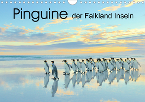 Pinguine der Falkland Inseln (Wandkalender 2021 DIN A4 quer) von Weiß,  Elmar