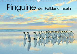 Pinguine der Falkland Inseln (Wandkalender 2022 DIN A3 quer) von Weiß,  Elmar