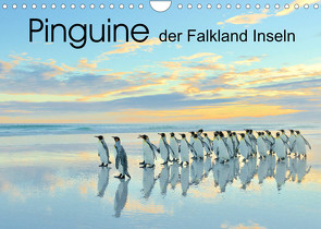 Pinguine der Falkland Inseln (Wandkalender 2022 DIN A4 quer) von Weiß,  Elmar