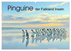 Pinguine der Falkland Inseln (Wandkalender 2024 DIN A2 quer), CALVENDO Monatskalender von Weiß,  Elmar