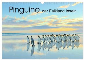 Pinguine der Falkland Inseln (Wandkalender 2024 DIN A3 quer), CALVENDO Monatskalender von Weiß,  Elmar