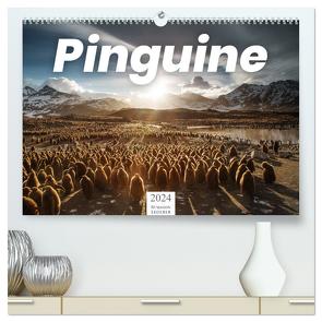 Pinguine – Die sympathischen Frack-Träger (hochwertiger Premium Wandkalender 2024 DIN A2 quer), Kunstdruck in Hochglanz von Lederer,  Benjamin