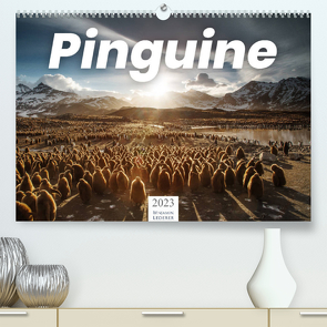 Pinguine – Die sympathischen Frack-Träger (Premium, hochwertiger DIN A2 Wandkalender 2023, Kunstdruck in Hochglanz) von Lederer,  Benjamin