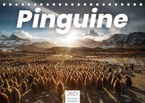 Pinguine – Die sympathischen Frack-Träger (Tischkalender 2023 DIN A5 quer) von Lederer,  Benjamin