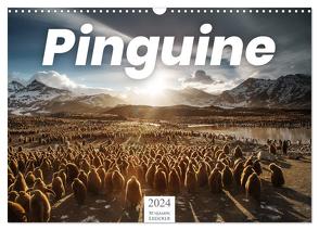 Pinguine – Die sympathischen Frack-Träger (Wandkalender 2024 DIN A3 quer), CALVENDO Monatskalender von Lederer,  Benjamin