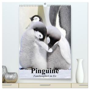 Pinguine. Familienglück im Eis (hochwertiger Premium Wandkalender 2024 DIN A2 hoch), Kunstdruck in Hochglanz von Stanzer,  Elisabeth