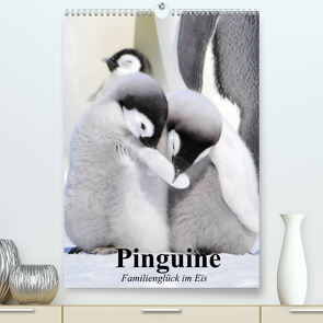 Pinguine. Familienglück im Eis (Premium, hochwertiger DIN A2 Wandkalender 2022, Kunstdruck in Hochglanz) von Stanzer,  Elisabeth