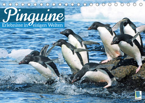 Pinguine: Gehupft wie gesprungen – Edition lustige Tiere (Tischkalender 2022 DIN A5 quer) von CALVENDO