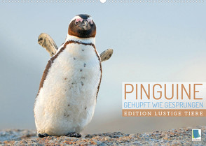 Pinguine: Gehupft wie gesprungen – Edition lustige Tiere (Wandkalender 2022 DIN A2 quer) von CALVENDO