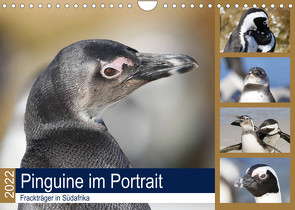 Pinguine im Portrait – Frackträger in Südafrika (Wandkalender 2022 DIN A4 quer) von und Yvonne Herzog,  Michael