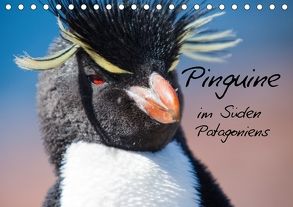Pinguine im Süden Patagoniens (Tischkalender 2018 DIN A5 quer) von Reuke,  Sabine