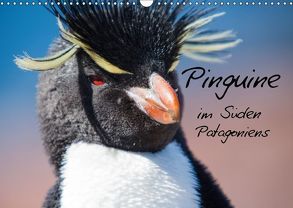 Pinguine im Süden Patagoniens (Wandkalender 2018 DIN A3 quer) von Reuke,  Sabine