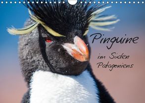 Pinguine im Süden Patagoniens (Wandkalender 2019 DIN A4 quer) von Reuke,  Sabine