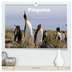 Pinguine in Patagonien (hochwertiger Premium Wandkalender 2024 DIN A2 quer), Kunstdruck in Hochglanz von Köhler,  Clemens Göb,  Ute