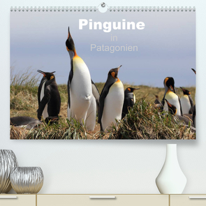 Pinguine in Patagonien (Premium, hochwertiger DIN A2 Wandkalender 2022, Kunstdruck in Hochglanz) von Göb,  Clemens, Köhler,  Ute