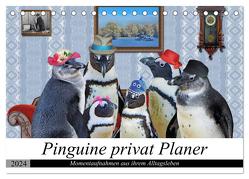 Pinguine privat Planer (Tischkalender 2024 DIN A5 quer), CALVENDO Monatskalender von glandarius,  Garrulus