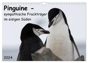 Pinguine – sympathische Frackträger im eisigen Süden (Wandkalender 2024 DIN A4 quer), CALVENDO Monatskalender von Utelli,  Anna-Barbara