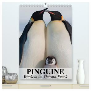 Pinguine – Wackeln im Thermo-Frack (hochwertiger Premium Wandkalender 2024 DIN A2 hoch), Kunstdruck in Hochglanz von Stanzer,  Elisabeth