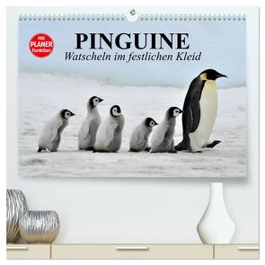 Pinguine – Watscheln im festlichen Kleid (hochwertiger Premium Wandkalender 2024 DIN A2 quer), Kunstdruck in Hochglanz von Stanzer,  Elisabeth