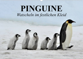 Pinguine – Watscheln im festlichen Kleid (Wandkalender 2023 DIN A2 quer) von Stanzer,  Elisabeth